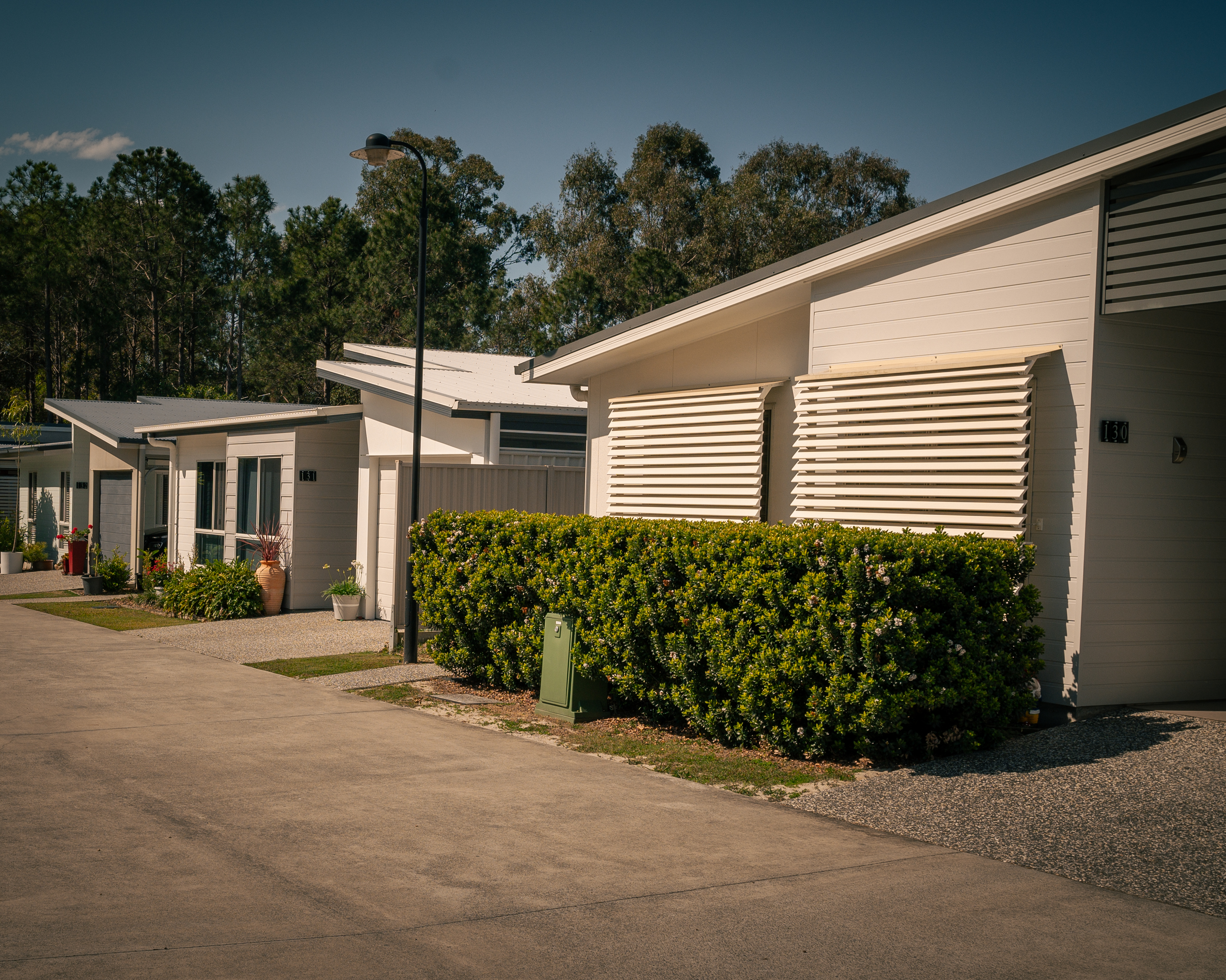 Documenting Family Life – Grandpa’s Garden&nbsp;#1