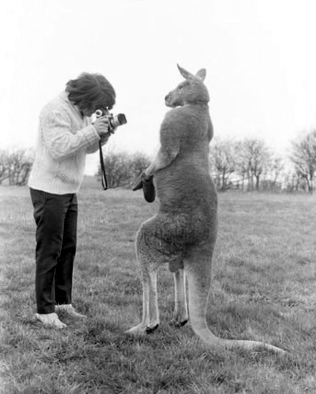 Kangaroo and John