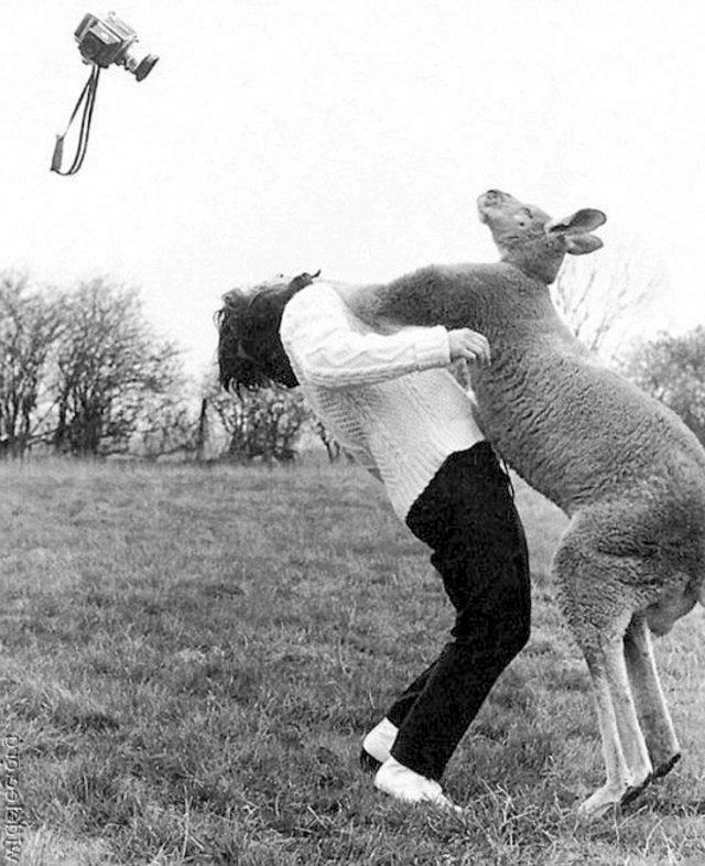 Kangaroo and John