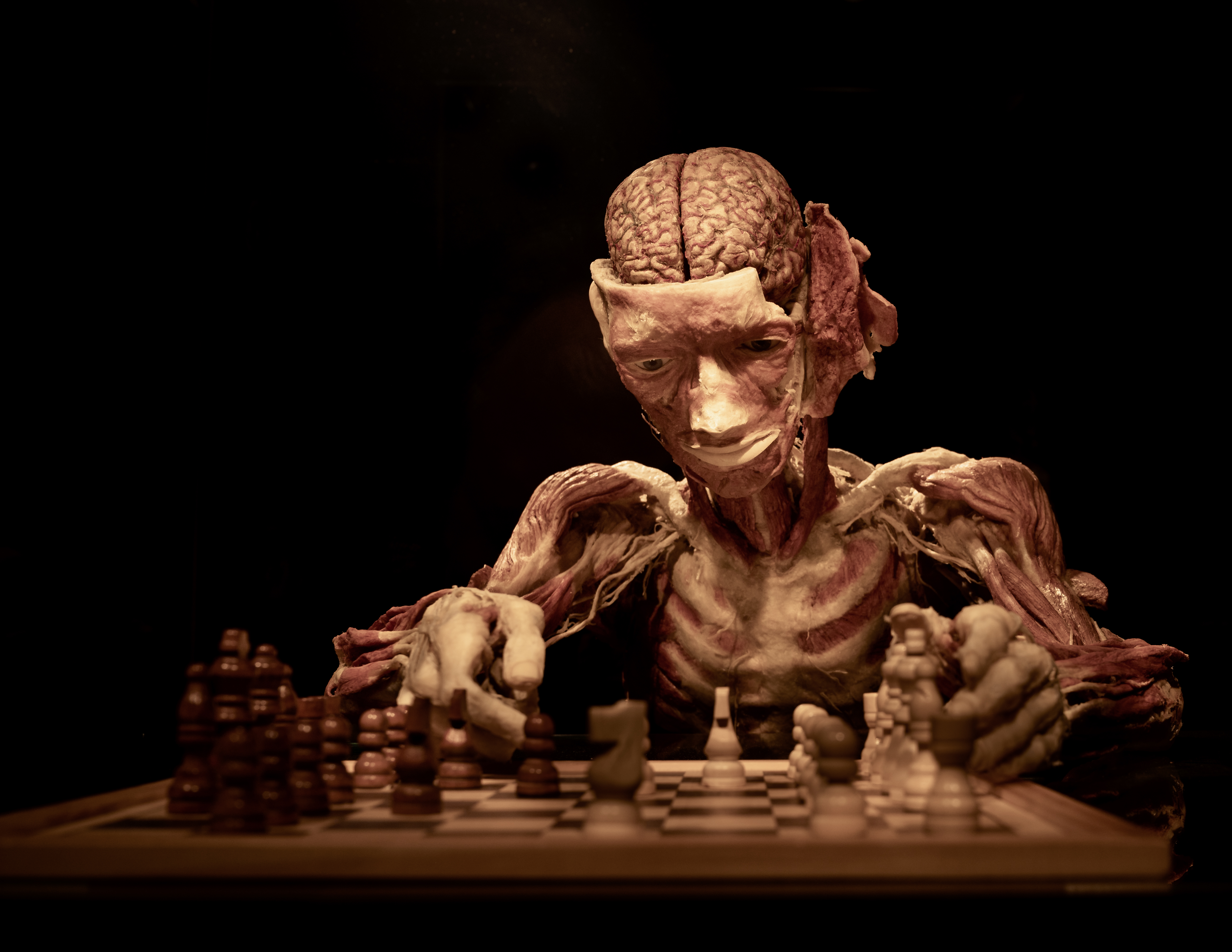 Do you Like&nbsp;Sports?